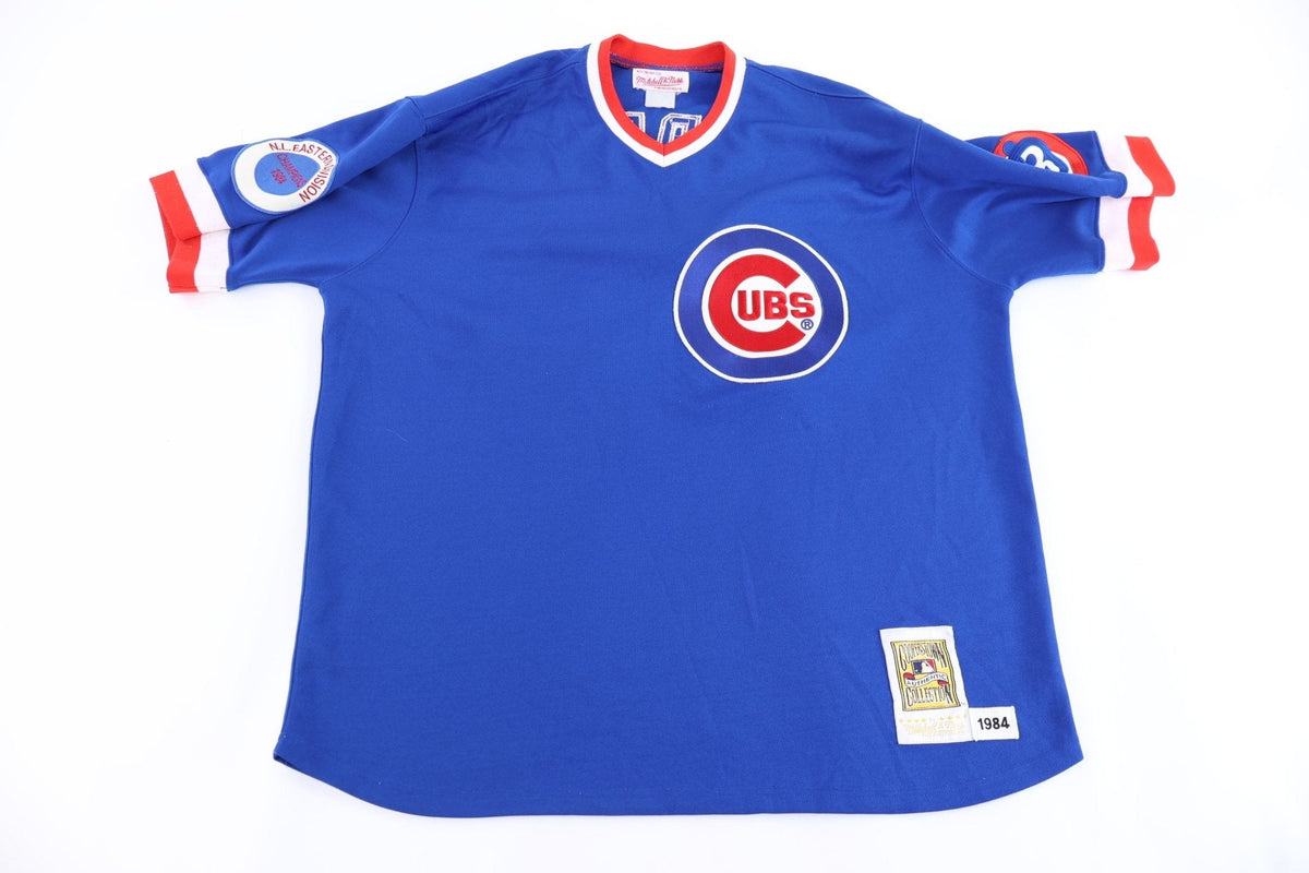 90's Chicago Cubs Ryne Sandberg Baseball Jersey product image 1